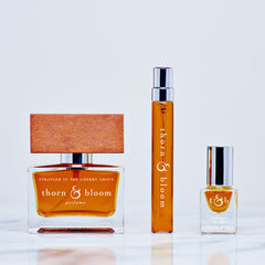 Stranger in the Cherry Grove